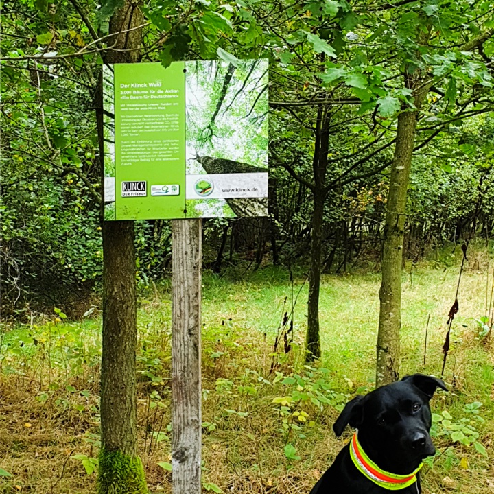 das Bild zeigt die Infotafel im eigenen KLINCK-Wald. Einer von vielen Maßnahmen, durch die KLINCK Dein Friseur schon fast klimaneutral arbeitet.Davor sitzt ein Hund. 